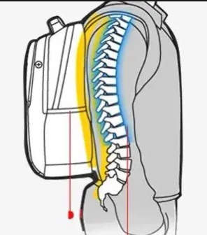 孩子背書(shū)包對(duì)脊柱的影響	